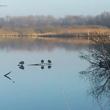 Sonniges Haeuschen Mit Garten Daire Braunschweig