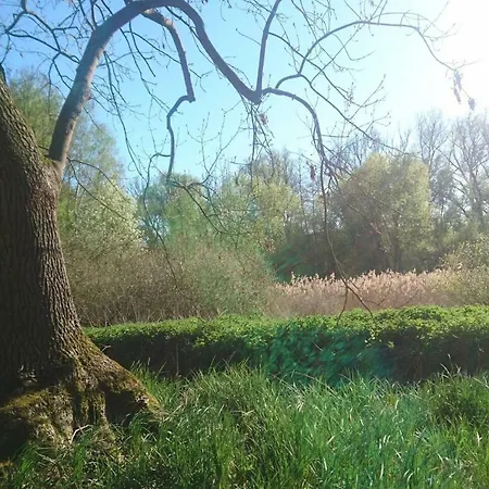 Sonniges Häuschen Mit Garten Apartment Braunschweig