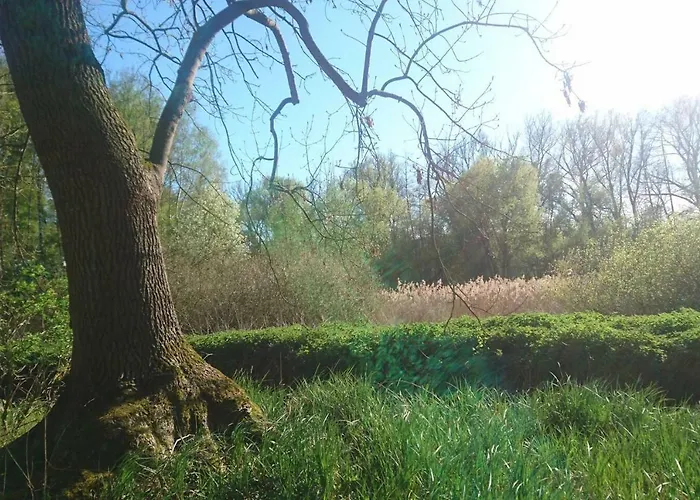 Sonniges Haeuschen Mit Garten Апартаменты Брауншвейг